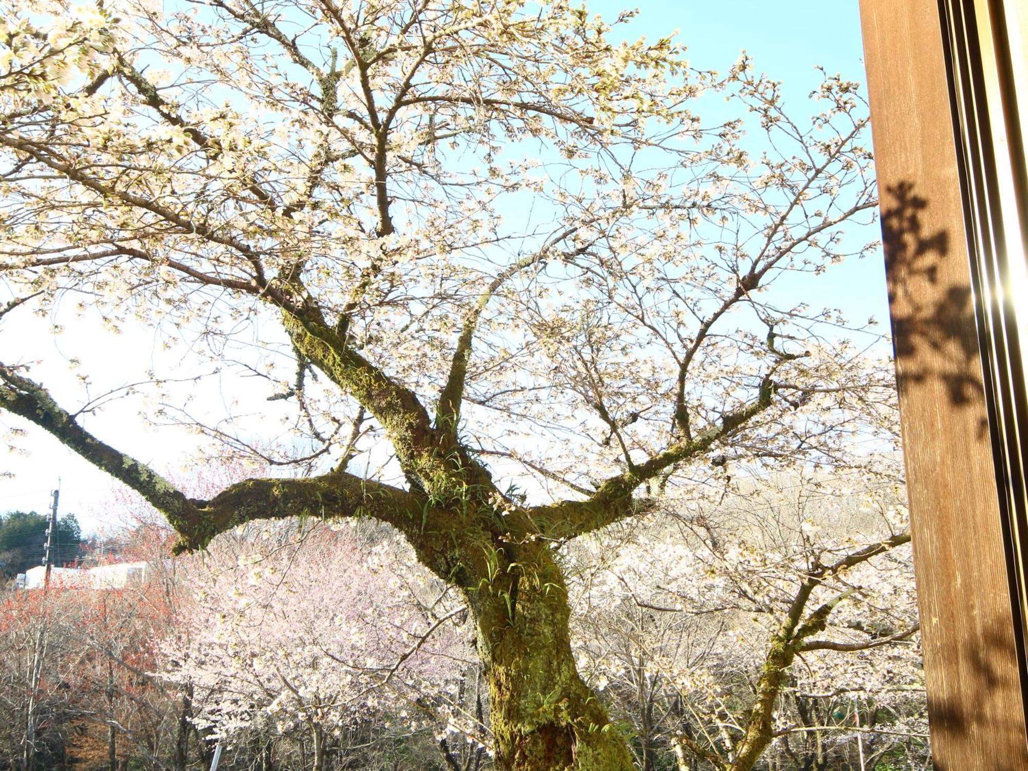 Totaro Ryokan Ena